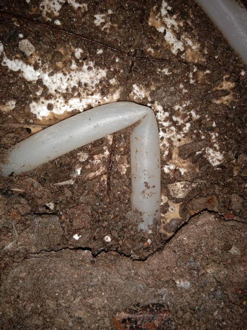 中阳堵点精准查找